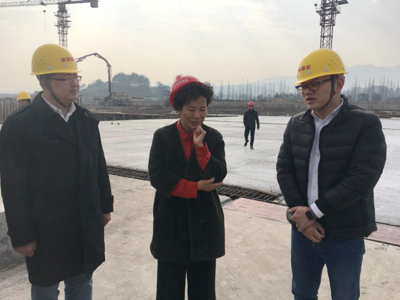 麗水市委常委、宣傳部長任淑女調(diào)研松陽美林·南城壹號項目