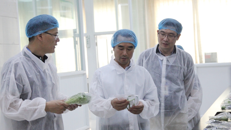 紹興市教育局、市場監(jiān)管局領導赴浙農茂陽督查食品安全工作
