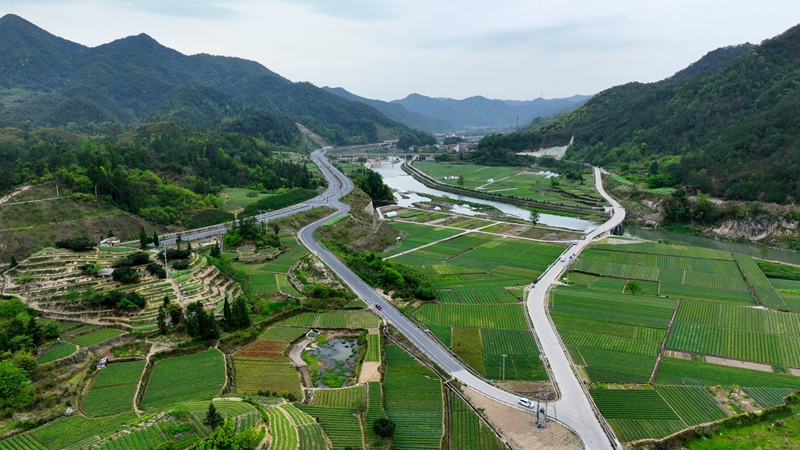 浙農(nóng)浙貝母、杭白菊基地通過中藥材GAP延伸檢查